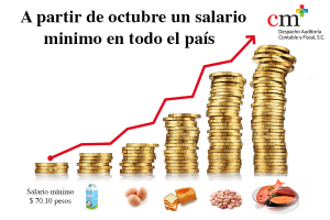 Salario minimo